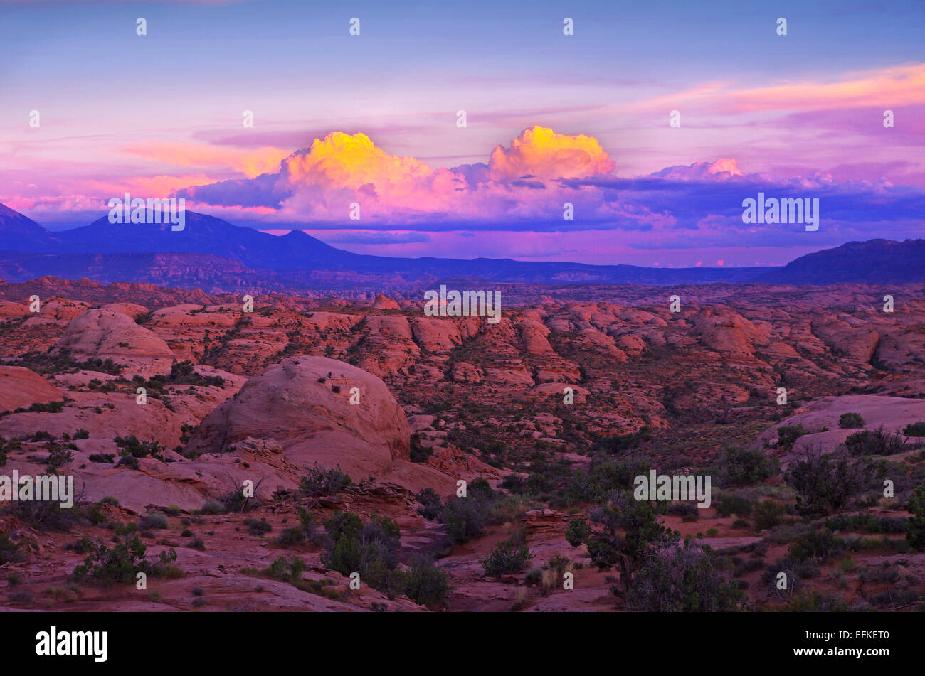 Vue sur dunes pétrifiées, dans Arches National Park, dans la lumière du soir. Banque D'Images