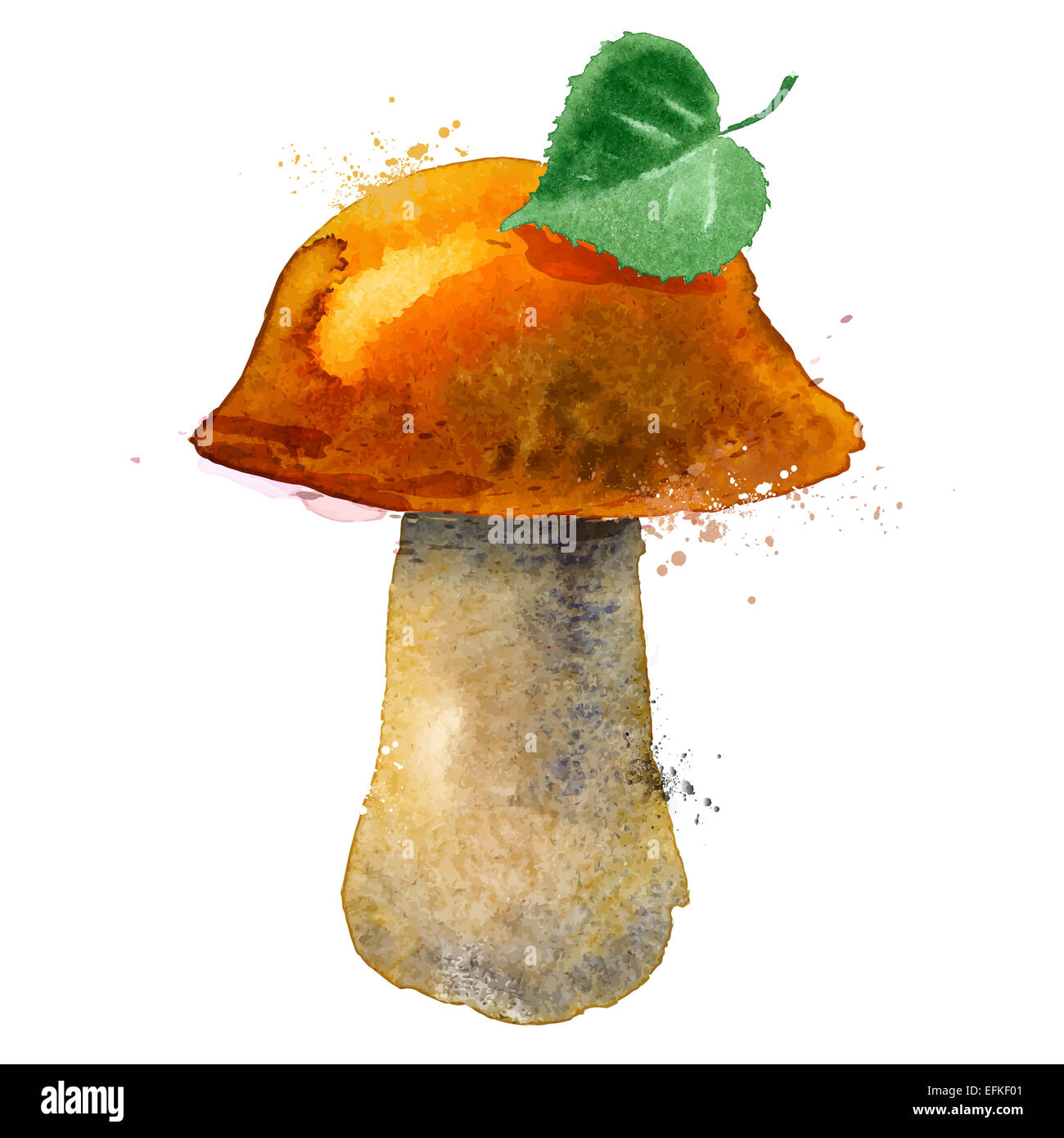 Les champignons logo vector modèle. la nature ou l'icône de l'alimentation. Banque D'Images