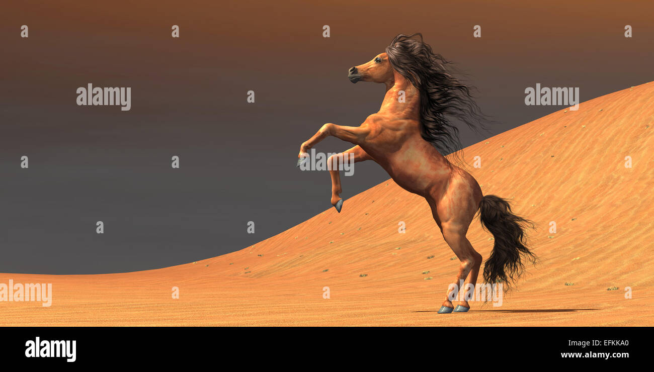 Un sauvage Arabian Mare se dresse dans un environnement désertique pleine de dunes de sable rouge. Banque D'Images