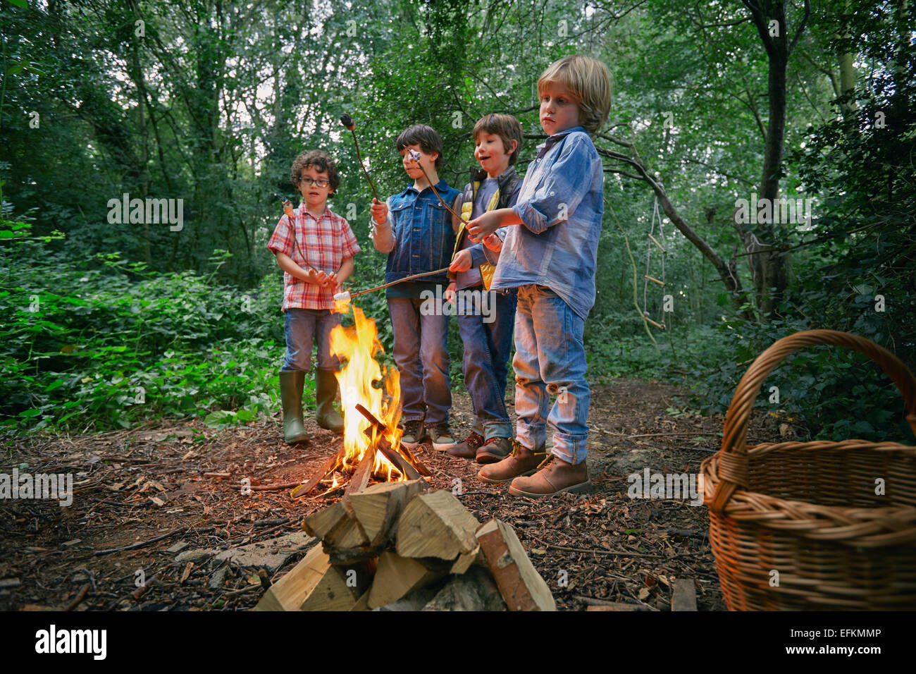 Quatre garçons toasting guimauves sur feu de forêt dans Banque D'Images