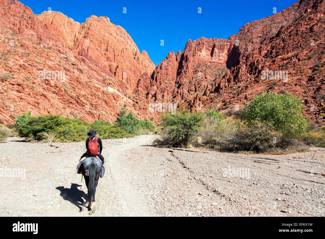 Jeune femme à cheval à travers un canyon rouge et vert près de Tupiza en Bolivie Banque D'Images