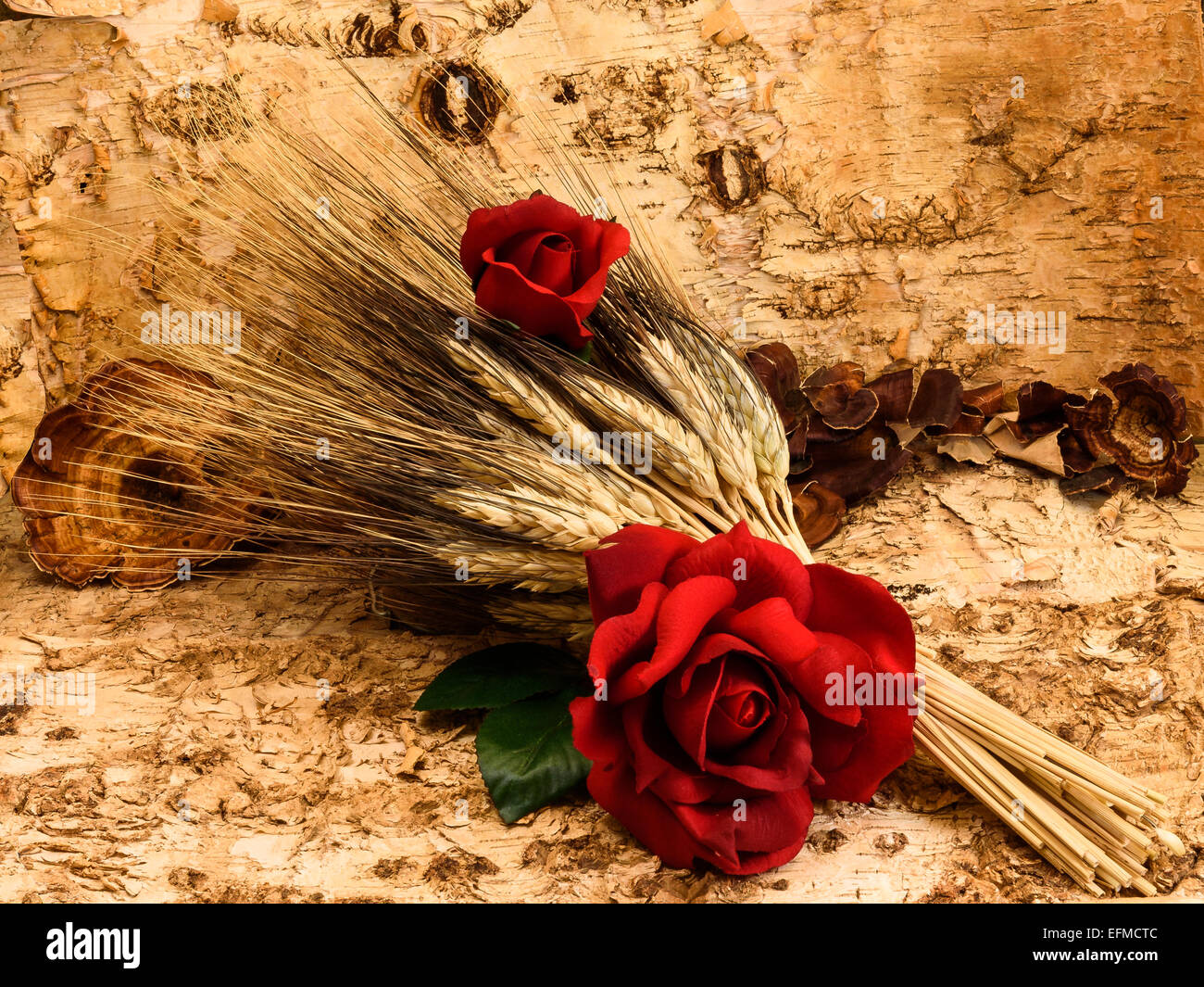 Rose et le contraste du blé Banque D'Images