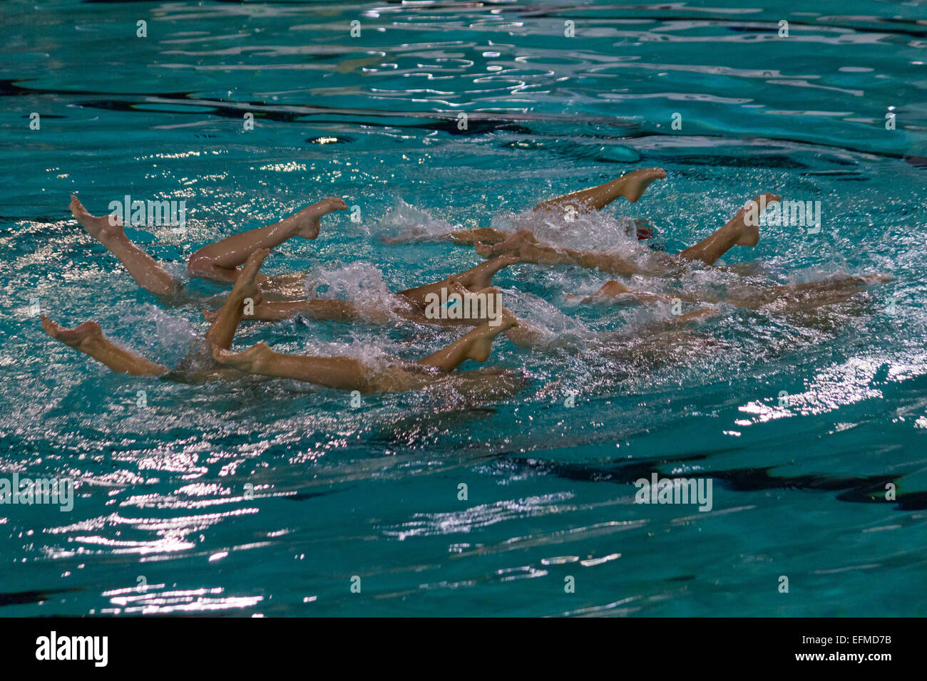 La suppression des équipes de Championnats italiens hiver natation synchronisée. Cet événement s'inscrit dans le cadre de Torino 2015, Capitale Européenne du Sport. © Elena Aquila/Pacific Press/Alamy Live News Banque D'Images