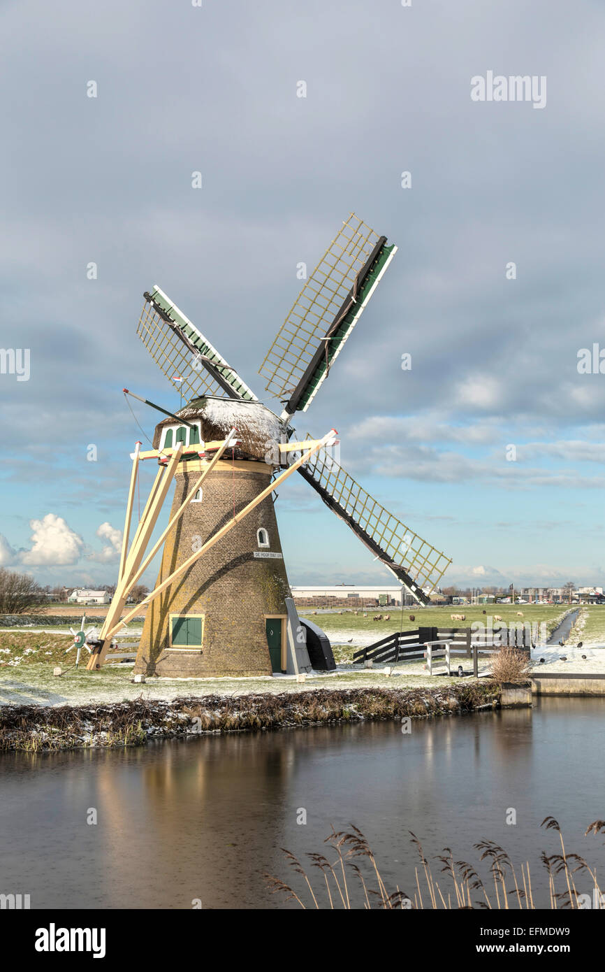 Moulin de drainage ''l'espoir est éternel'' en paysage plat typiquement néerlandais en hiver, Voorhout, Hollande méridionale, Pays-Bas. Banque D'Images