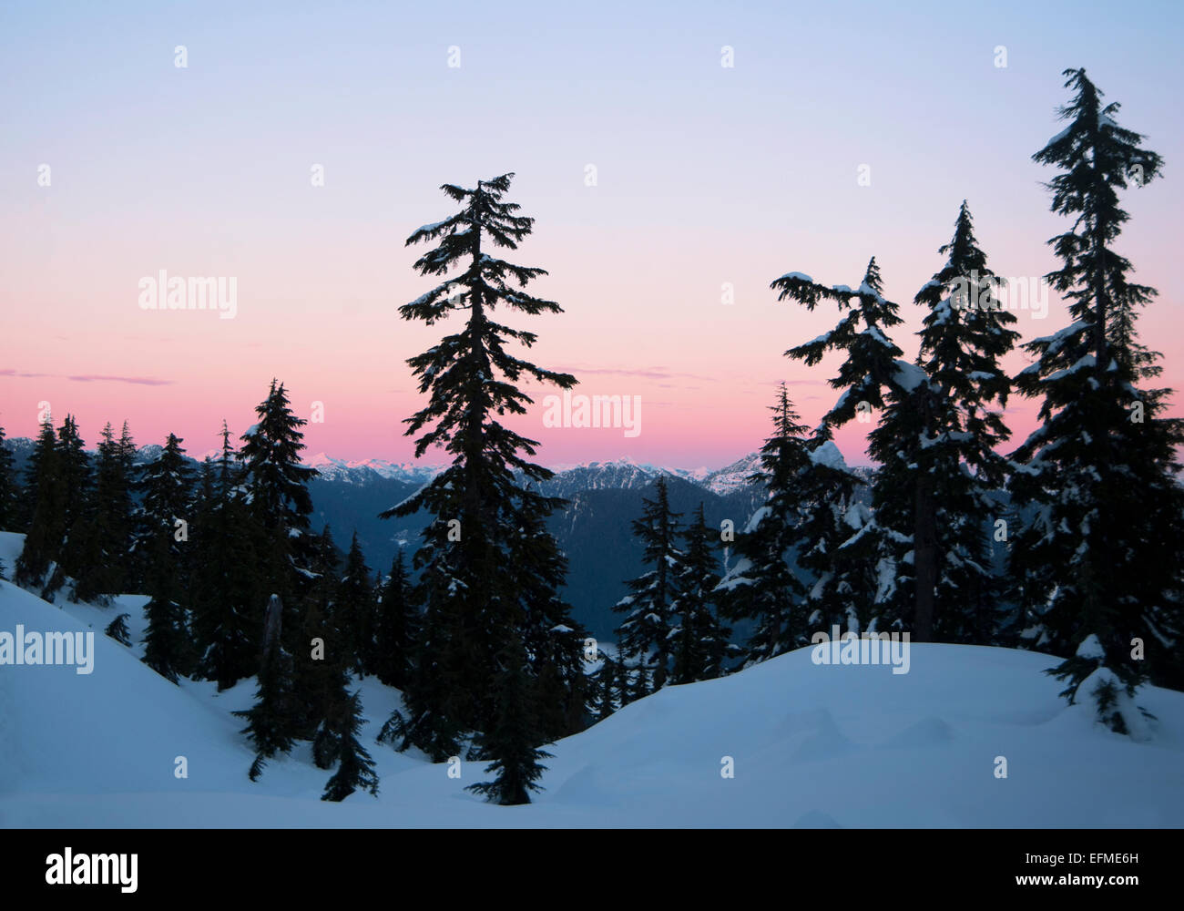 Crépuscule sur la montagne Hollyburn Cypress Provincial Park, West Vancouver, British Columbia, Canada Banque D'Images