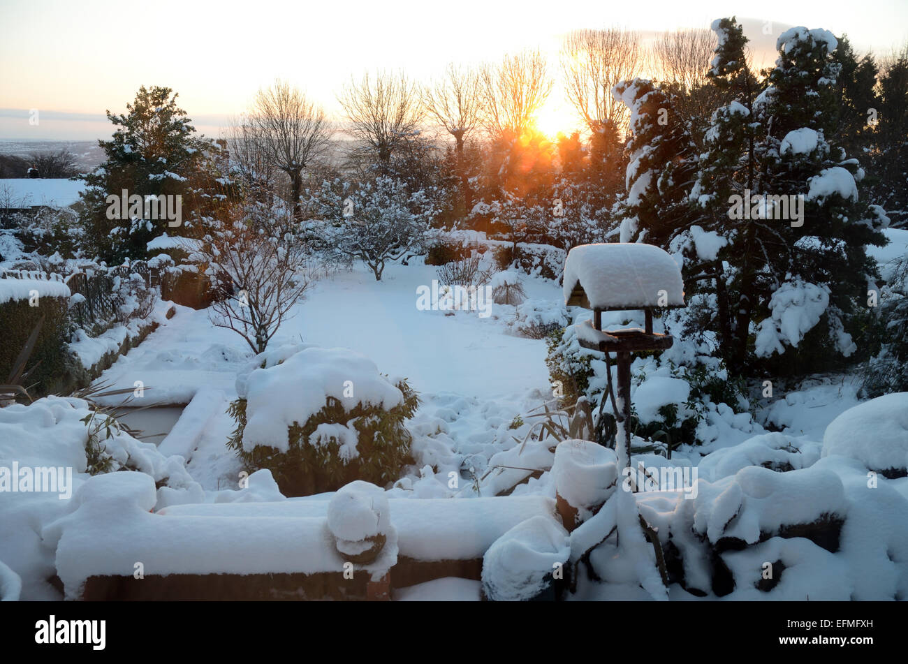 Jardin, le lever du soleil, après la chute de neige. Sheffield, South Yorkshire, Angleterre, Europe Banque D'Images