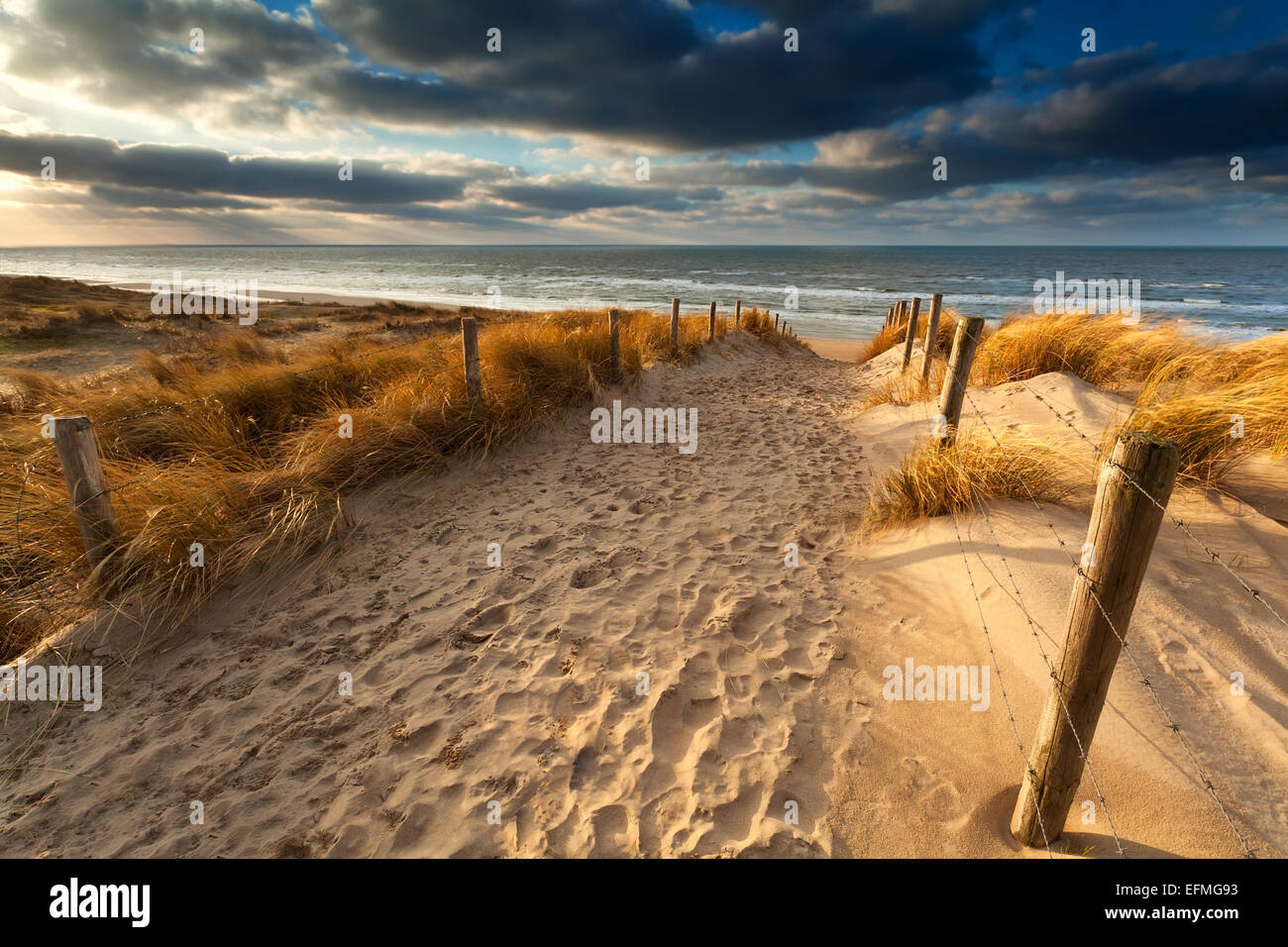 Chemin de sable d'une plage de la mer du Nord, en Hollande Banque D'Images