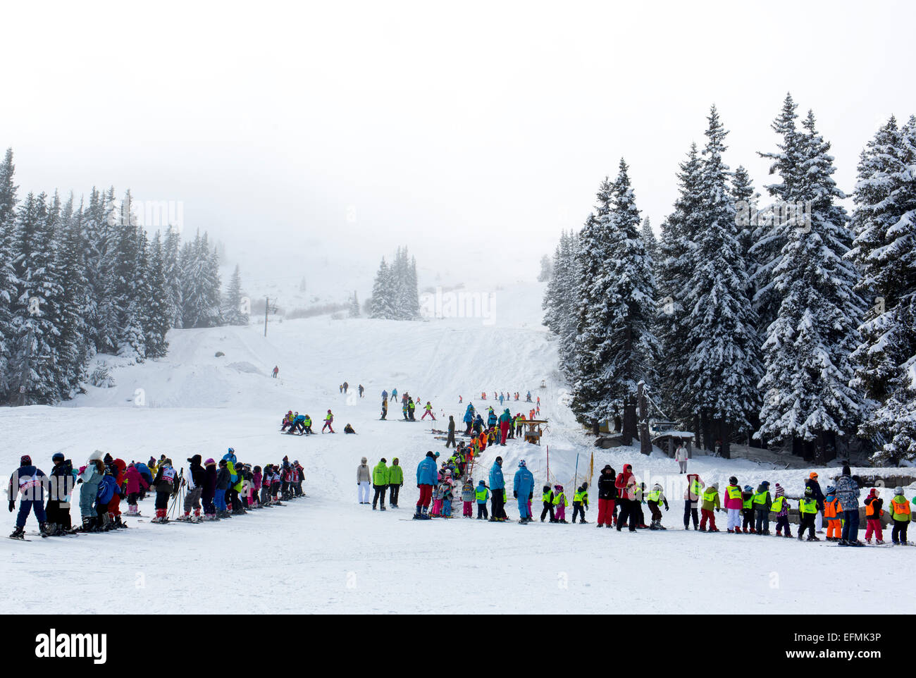 Sofia, Bulgarie - le 29 janvier 2015 : De nombreux enfants sont en attente de la remontée mécanique de la pente de ski à Vitosh mountain. Banque D'Images