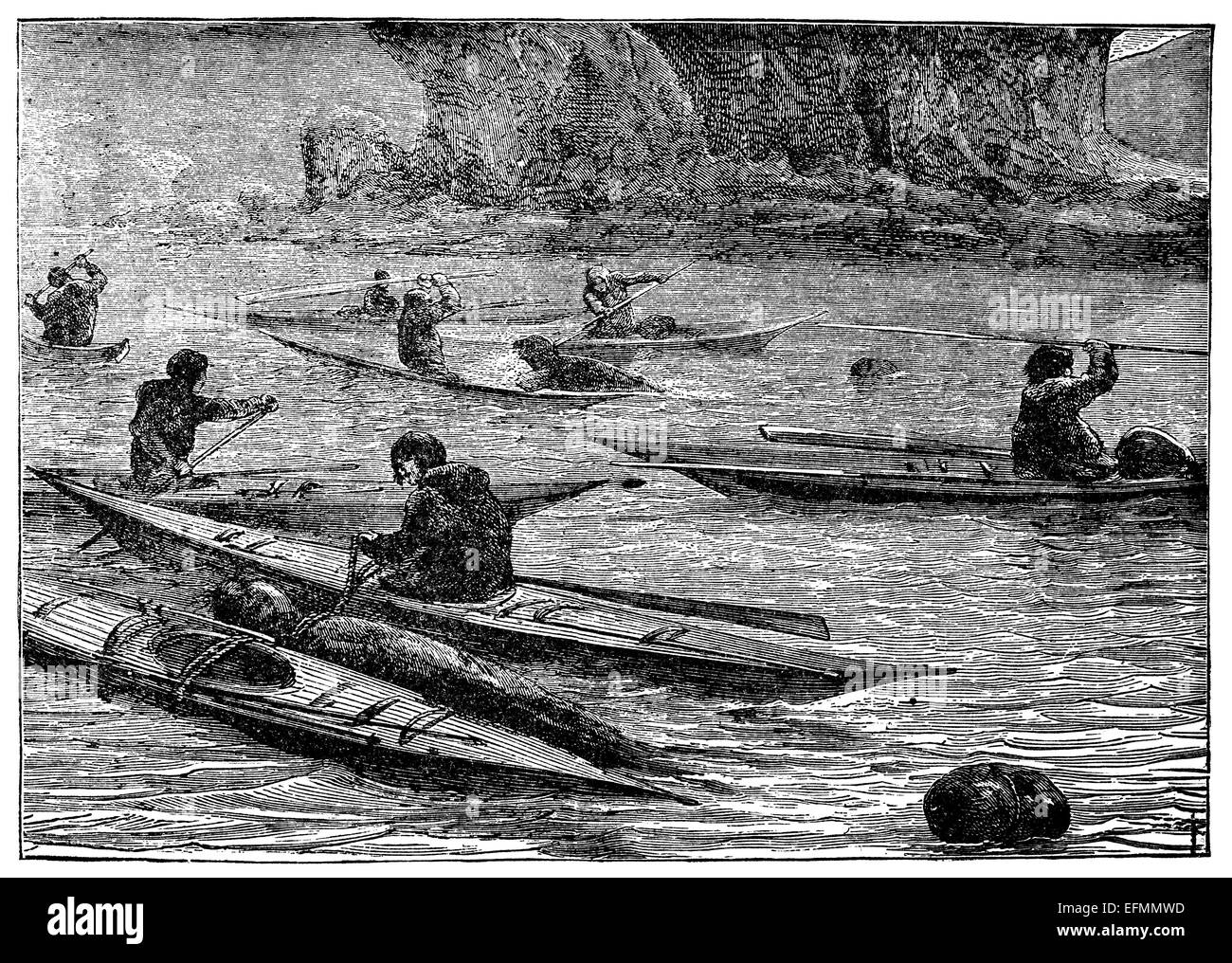 Gravure du xixe siècle d'une chasse au phoque de l'Arctique en kayak Banque D'Images