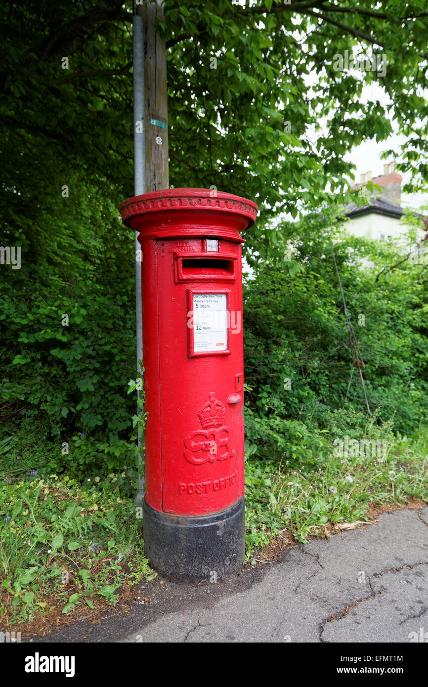 Un rare Édouard VIII poster bog, Enfield, Middlesex, Angleterre Banque D'Images
