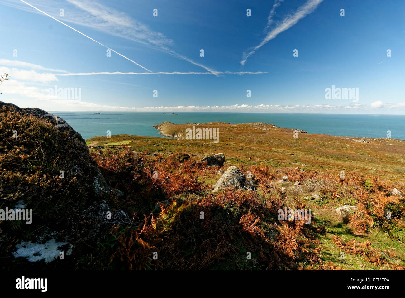 St Davids Head, Pembrokeshire, Pays de Galles comprend des plages, falaises, vestiges de l'âge du fer, contreventement promenades et randonnées et hardy la faune. Banque D'Images