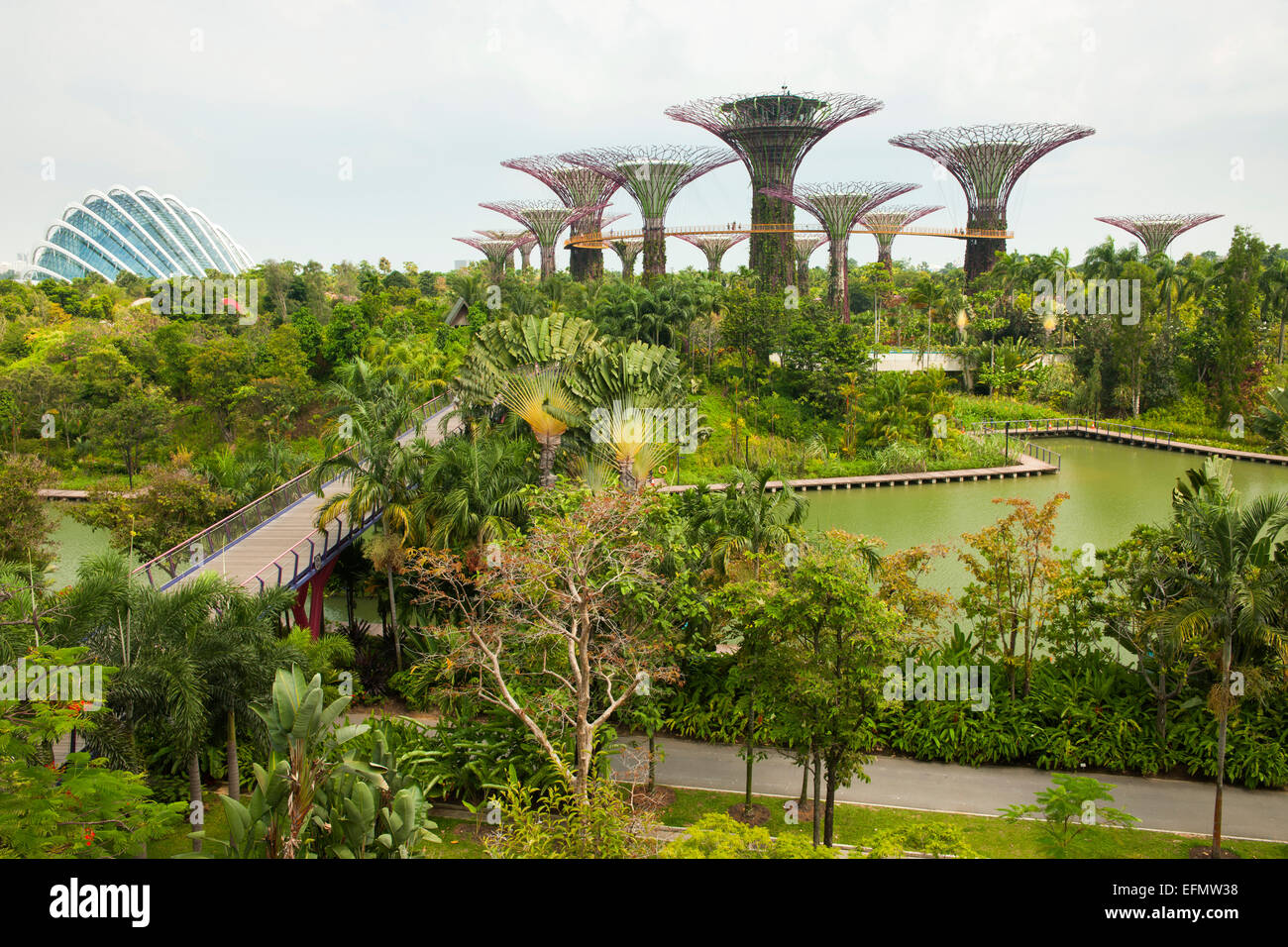 Vue sur Supertree Grove dans les jardins de la baie park à Singapour. Banque D'Images