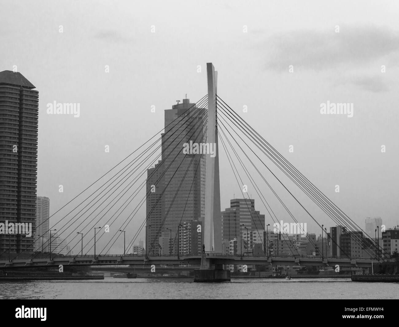 Photo noir et blanc de marges de la rivière Sumida avec vacances tower et crossing bridge Banque D'Images