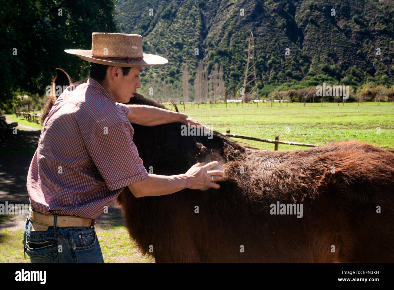 Les balais traditionnels inspirés de son cheval dans un ranch dans la région de El Toyo Cajon del Maipo, Chili, Amérique du Sud Banque D'Images