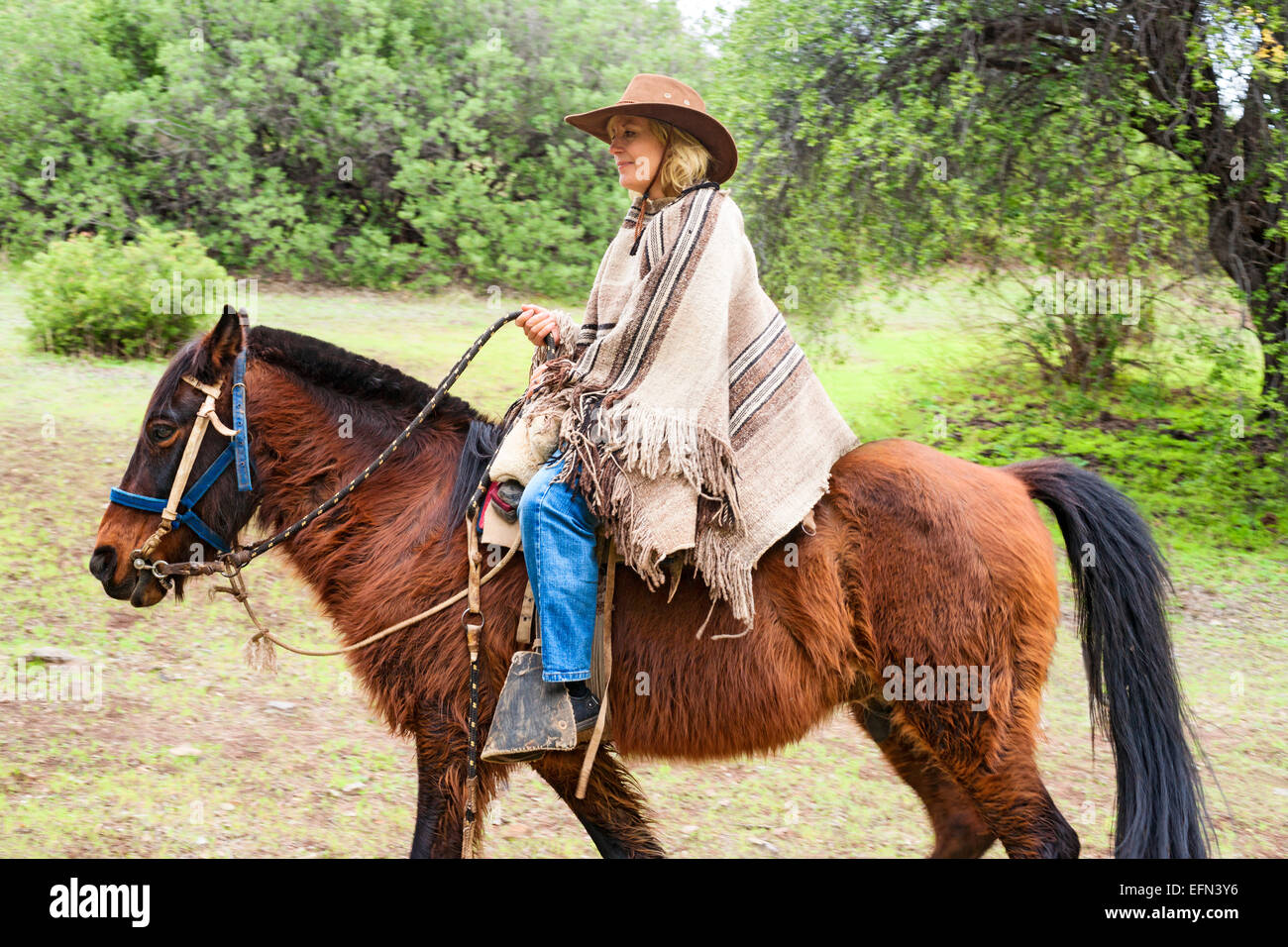 Woman l'équitation dans la région de El Toyo Cajon del Maipo, Chili, Amérique du Sud Banque D'Images