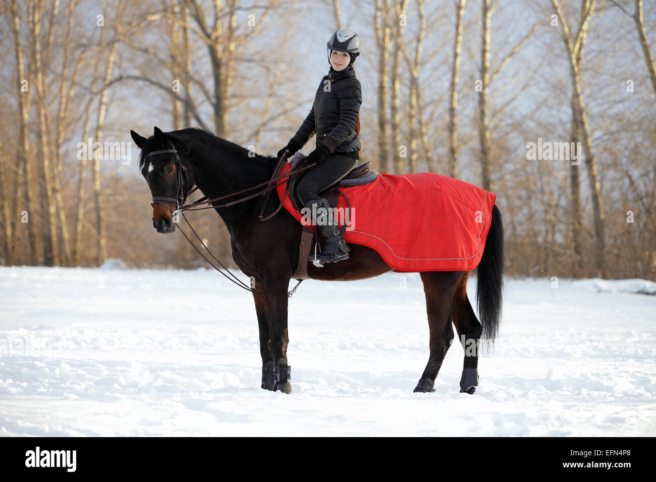 Fille monte un cheval sur une route rurale dans la soirée d'hiver Banque D'Images