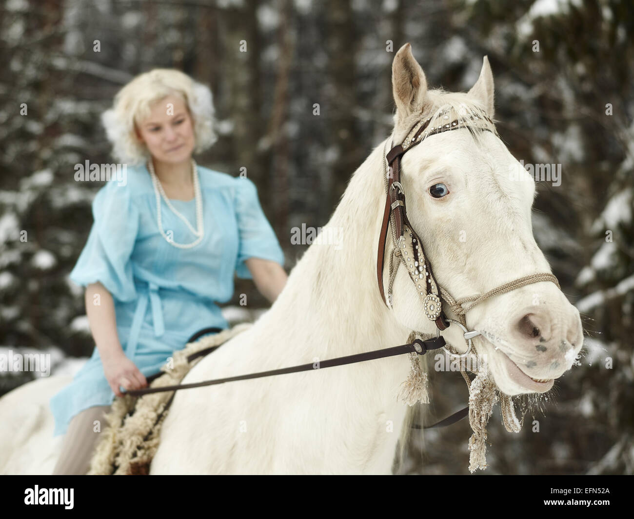 Attractive Woman wearing robe bleue et elle a un cheval blanc, l'accent sur les yeux du cheval Banque D'Images