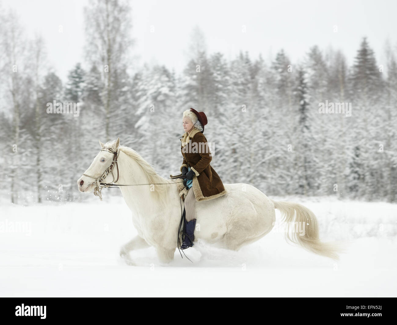 Jolie femme un cheval blanc, paysage d'hiver Banque D'Images