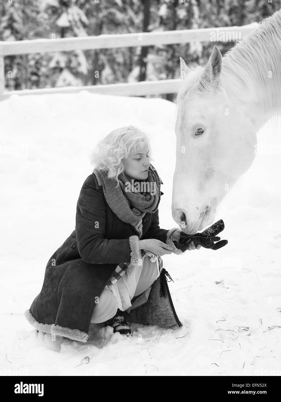 Attractive blonde femme nourrit un cheval blanc, ciel couvert journée d'hiver, image en noir et blanc Banque D'Images