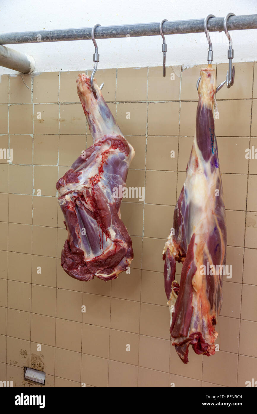 La viande dans une boucherie à Al Ain, Émirats Arabes Unis Banque D'Images