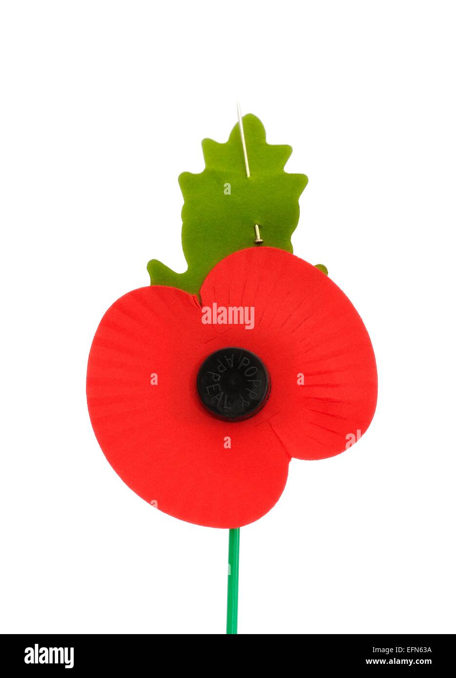 Royal British Legion poppy coquelicot du jour appel Banque D'Images