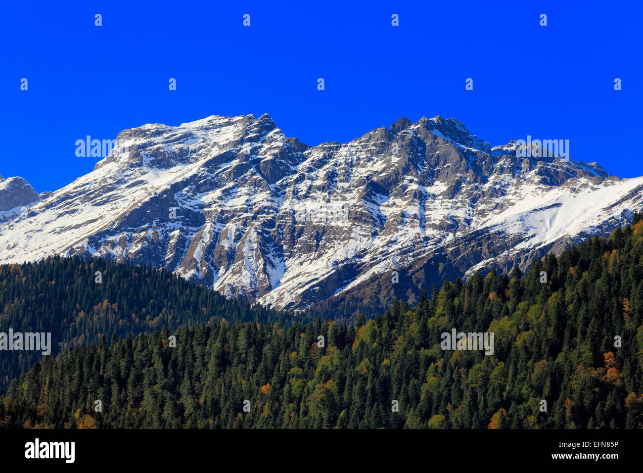 Montagnes du Caucase, de l'Abkhazie, Géorgie Banque D'Images