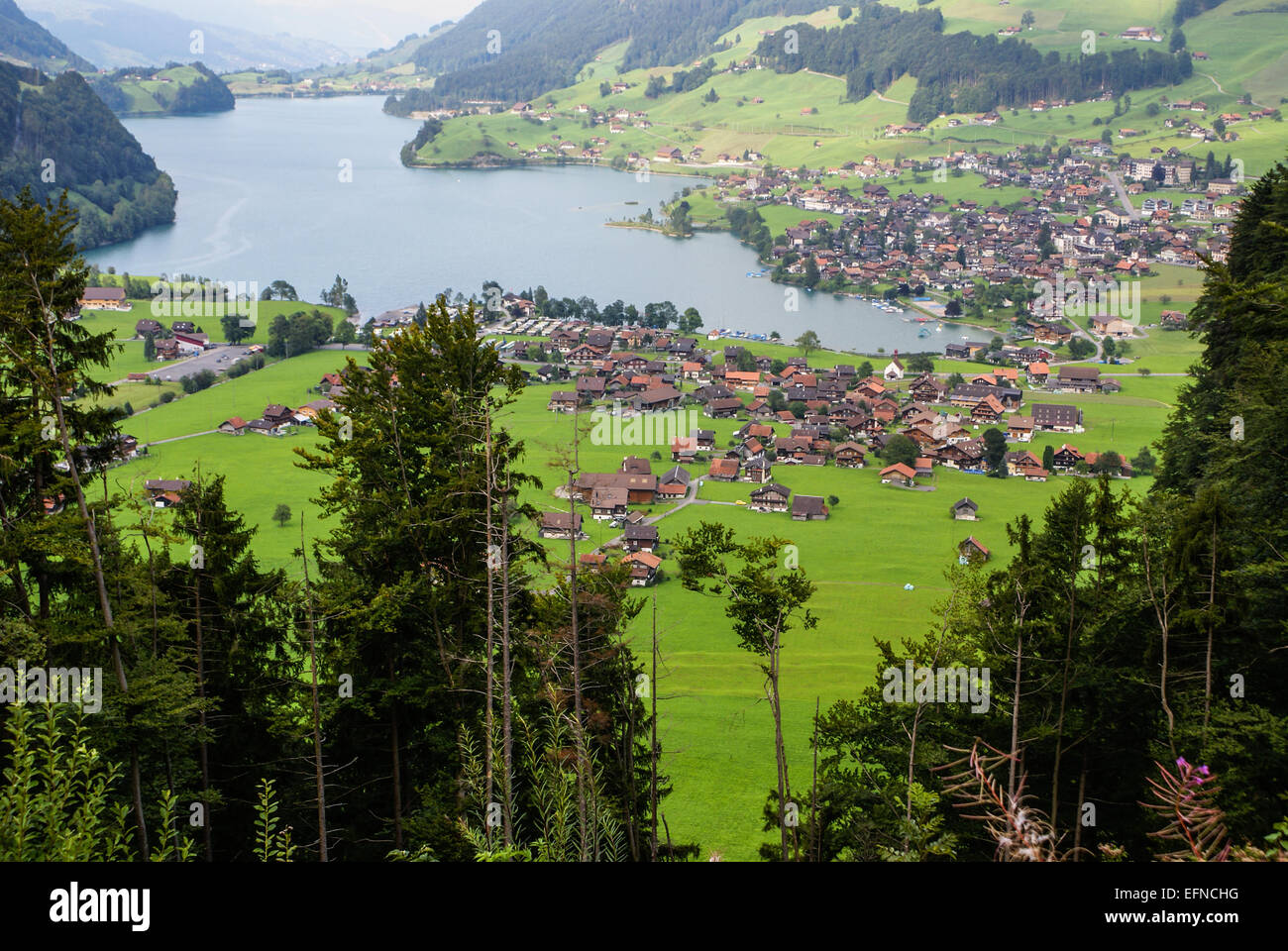 Vue panoramique du village de Grindelwald, Suisse Banque D'Images