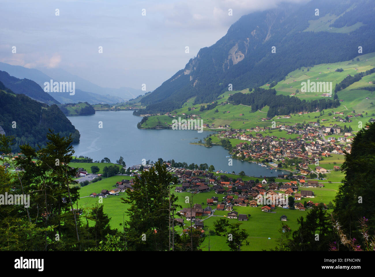 Vue panoramique du village de Grindelwald, Suisse Banque D'Images