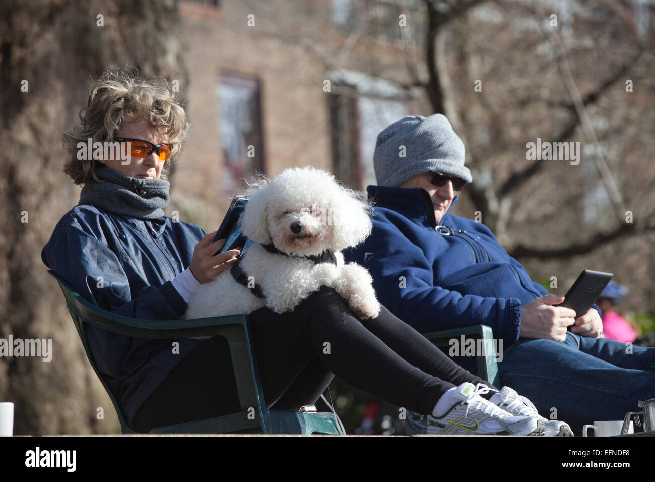 Le London Borough of Richmond upon Thames, au sud-ouest de Londres, Angleterre, Royaume-Uni 8 Oct, 2015. Les gens s'asseoir le long de la rivière Thames pathway profitant de l'hiver ensoleillé que les températures atteignent les 10 degrés à Richmond, extra-London, UK Crédit : Jeff Gilbert/Alamy Live News Banque D'Images