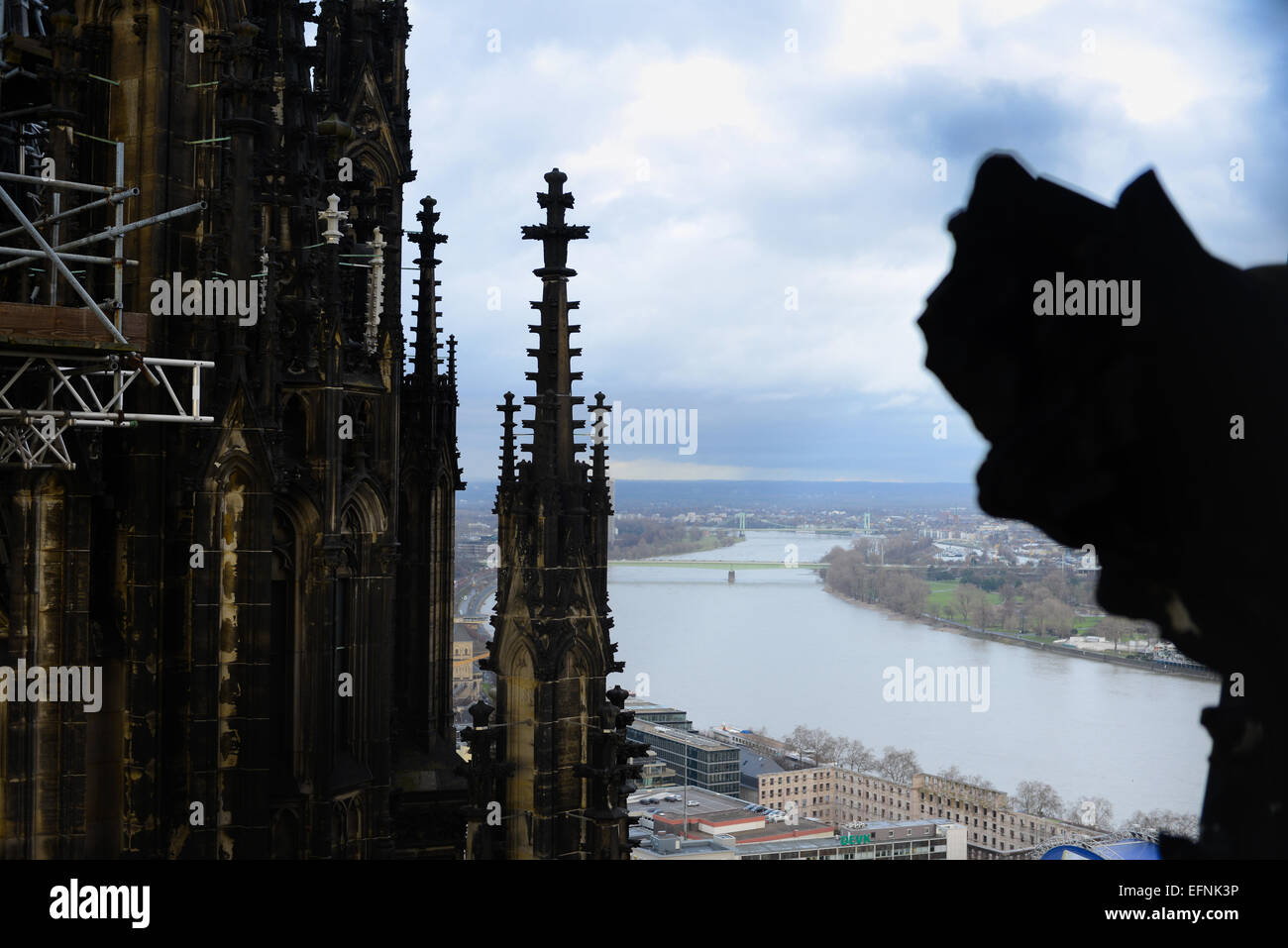 La cathédrale de Cologne et du Rhin, Allemagne Banque D'Images