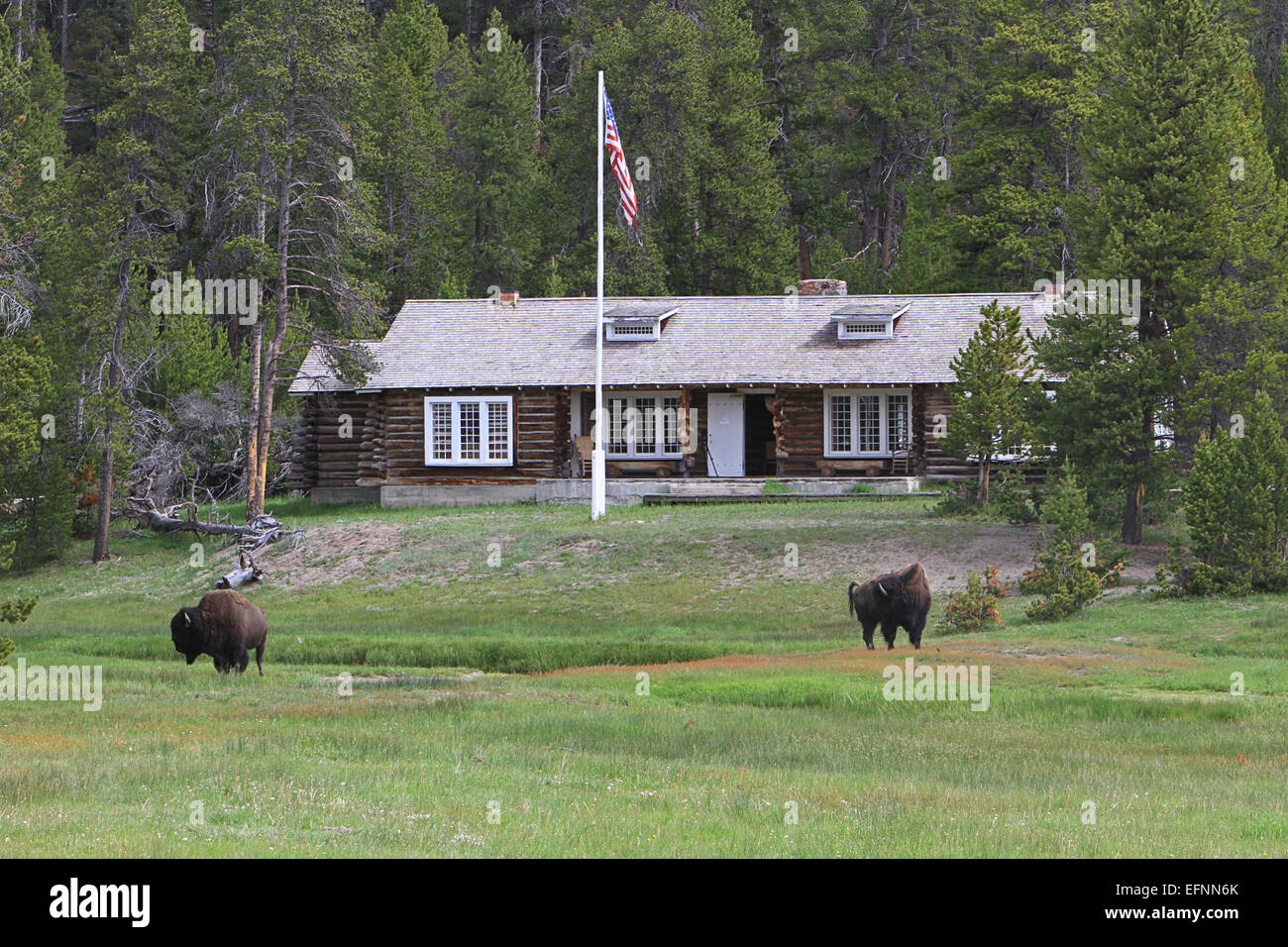 Le Museum of the National Park Ranger de Norris Soldier Station dans le parc national de Yellowstone met en lumière l'histoire des gardes forestiers du parc et leur rôle dans la préservation et la protection du parc. La photo, prise par Jim Peaco en juin 2013, offre un aperçu des expositions du musée et du site historique. Banque D'Images