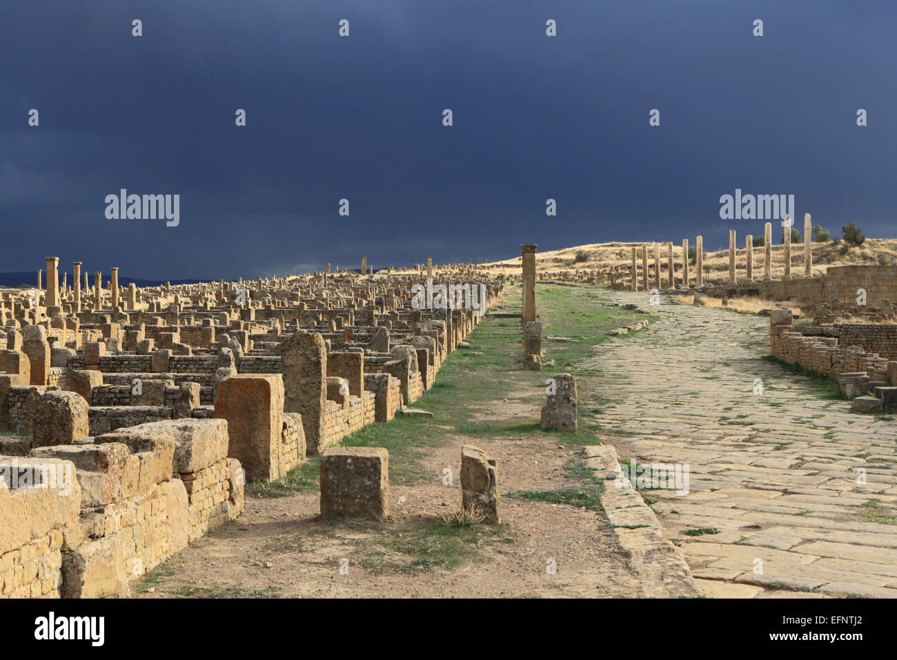Ancienne ville romaine (2-3ème siècles), Timgad, Batna Province, Algérie Banque D'Images