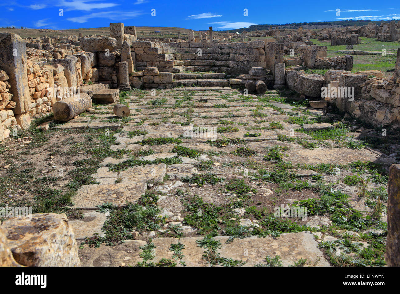 Ruines de l'ancienne ville de Madauros, M'Daourouch, Souk Ahras Province, Algérie Banque D'Images