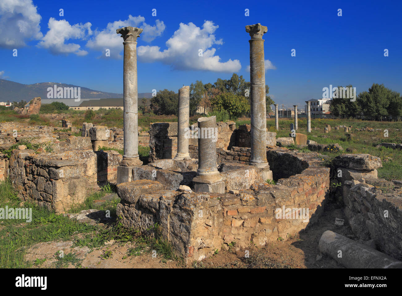 Ruines de l'ancienne ville d'Hippo Regius, Annaba, Annaba, Algérie Province Banque D'Images
