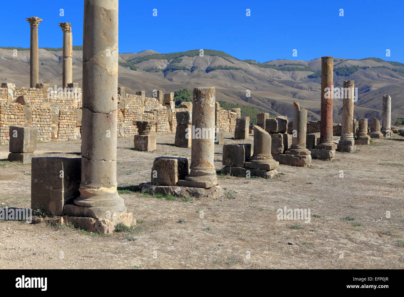 Ruines de l'antique ville Cuicul, Djemila, Sétif, Algérie Province Banque D'Images