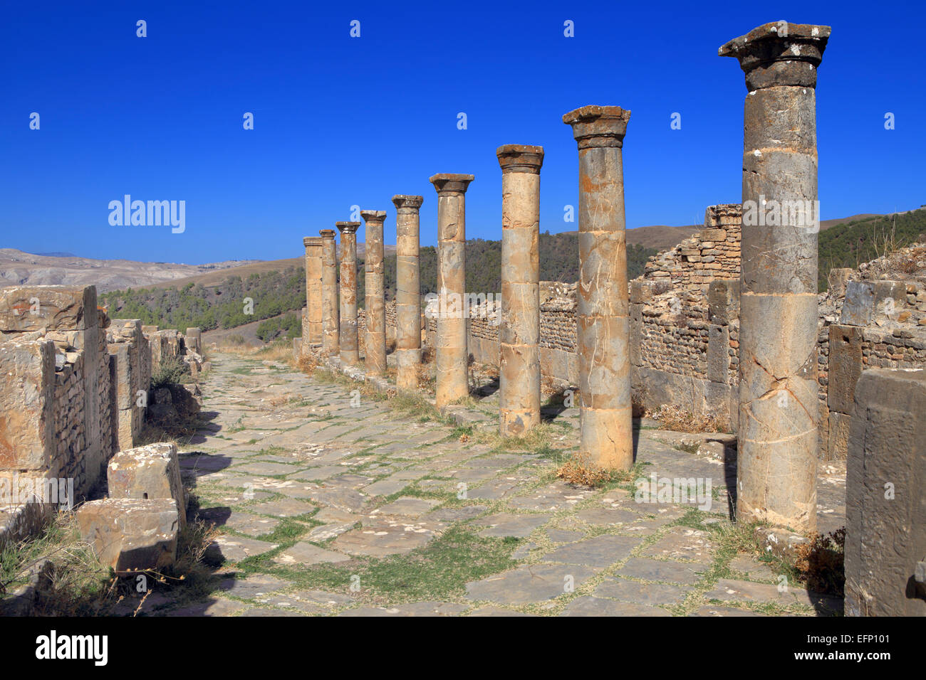 Ruines de l'antique ville Cuicul, Djemila, Sétif, Algérie Province Banque D'Images