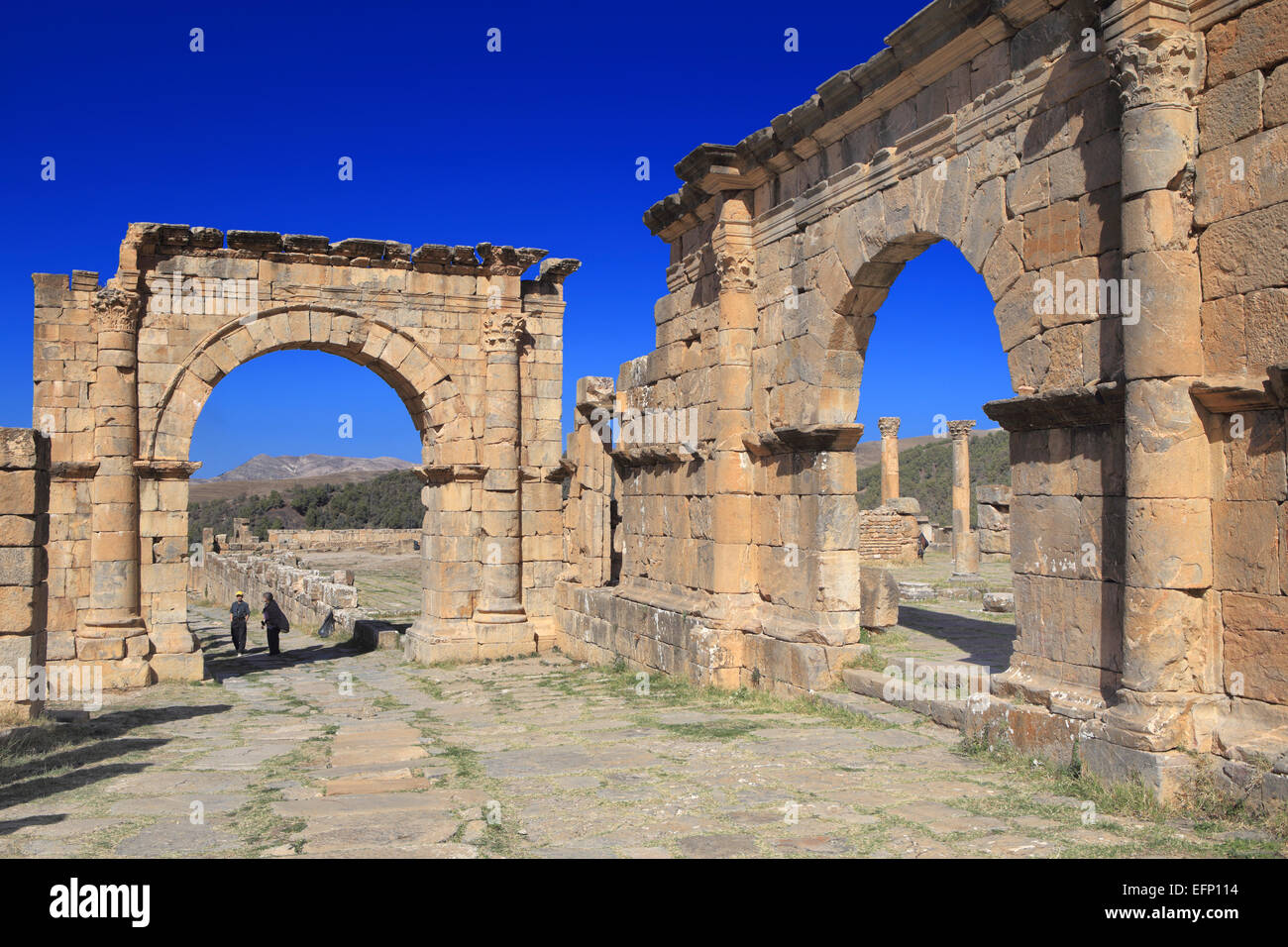 Ruines de l'antique ville Cuicul, Djemila, Sétif, Algérie Province Banque D'Images