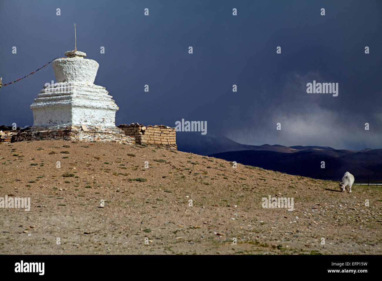 Au stupa bouddhiste Lac Tsokar, haut dans l'Himalaya indien du Ladakh Banque D'Images