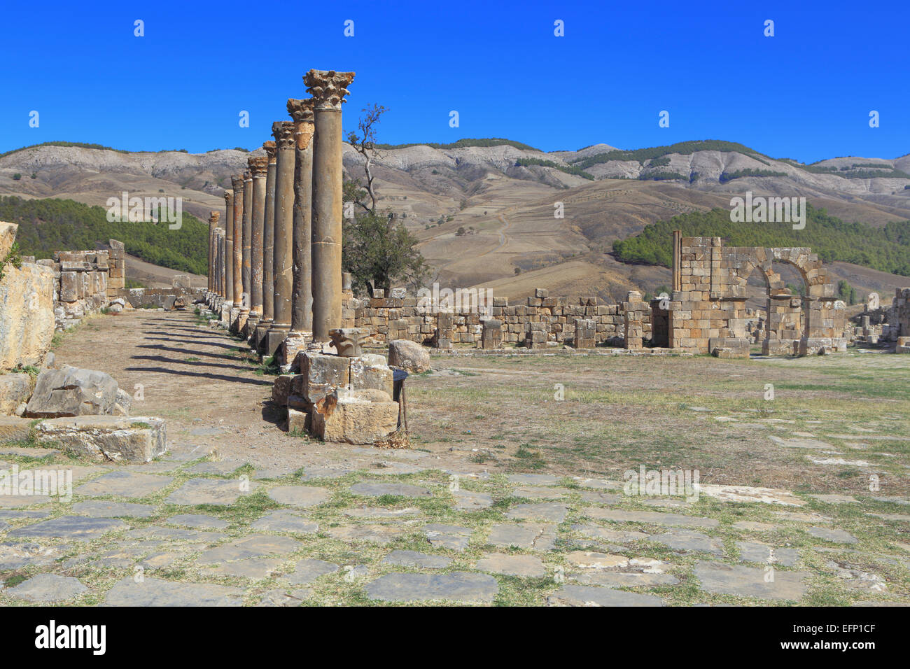 Ruines de l'antique ville Cuicul, Djemila, Sétif, Algérie Province Banque D'Images