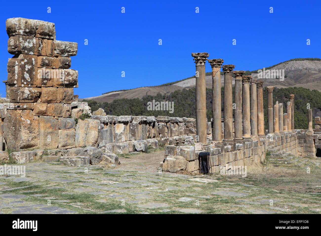 Ruines de l'antique ville Cuicul, Djemila, Sétif, Algérie Province Banque D'Images