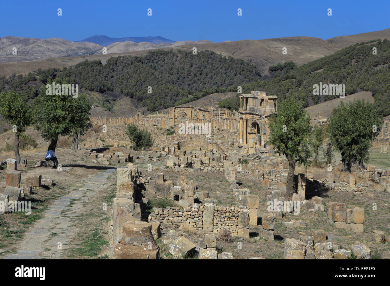 Ruines de l'antique ville Cuicul, Djemila, Sétif, Algérie Province Banque D'Images