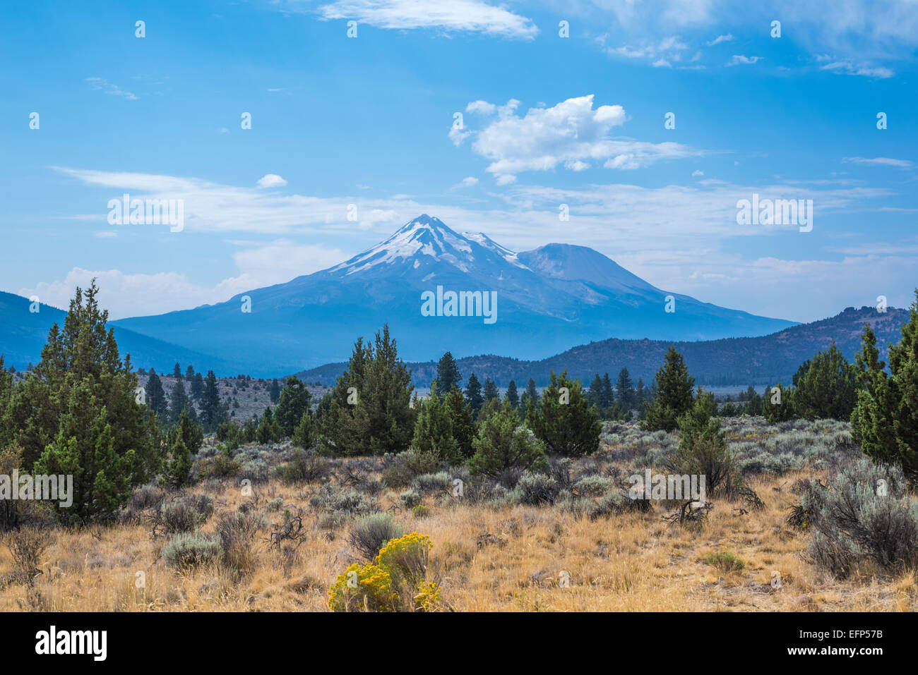 Vue sur le Mont Shasta. Le Comté de Siskiyou, California, United States. Banque D'Images