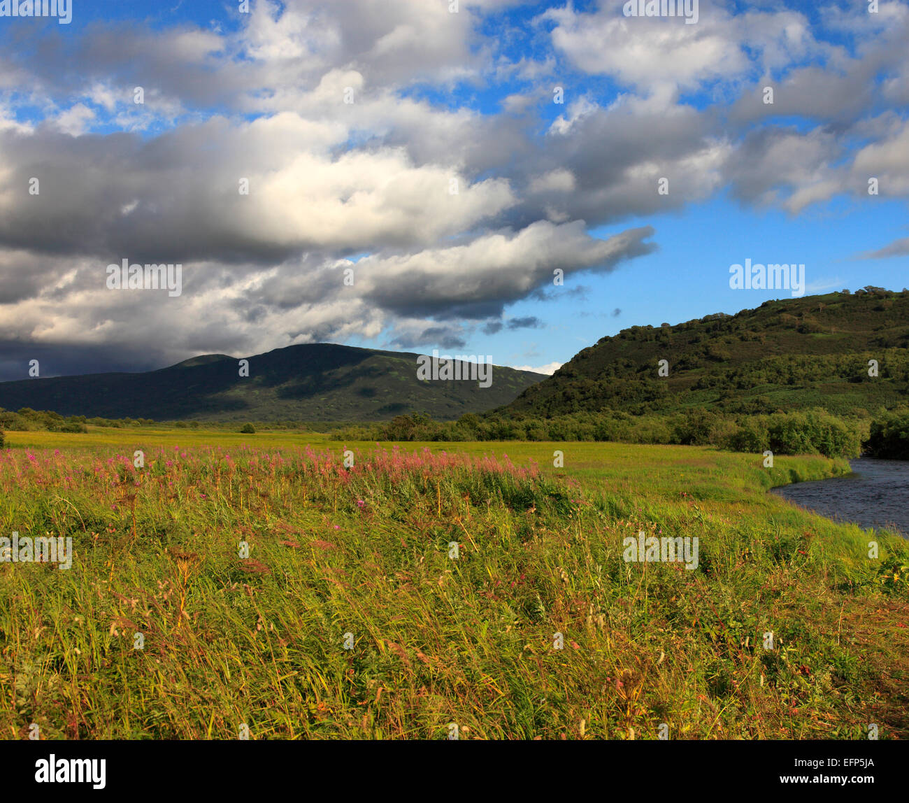 La vallée de la rivière Opala, péninsule du Kamchatka, Russie Banque D'Images
