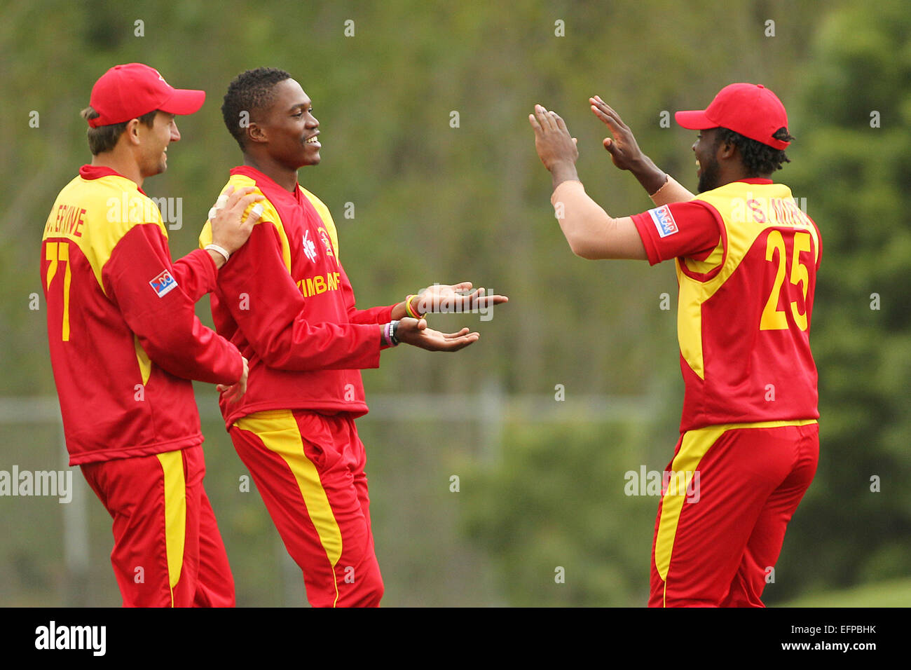 Lincoln, en Nouvelle-Zélande. 09Th Feb 2015. Réchauffer la Coupe du monde. Tafadzwa Kamungozi du Zimbabwe est félicité par coéquipiers Éric Gagnon et Salomon bourbier après une plongée takeing prises à rejeter Corey Anderson de la Nouvelle-Zélande au cours de l'ICC Cricket World Cup warm up match entre la Nouvelle-Zélande v au Zimbabwe. Credit : Action Plus Sport/Alamy Live News Banque D'Images