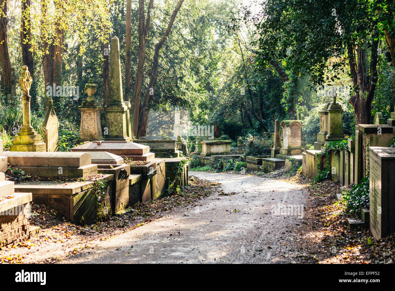 Le Cimetière de Highgate west, Londres, Angleterre, Royaume-Uni, Europe Banque D'Images