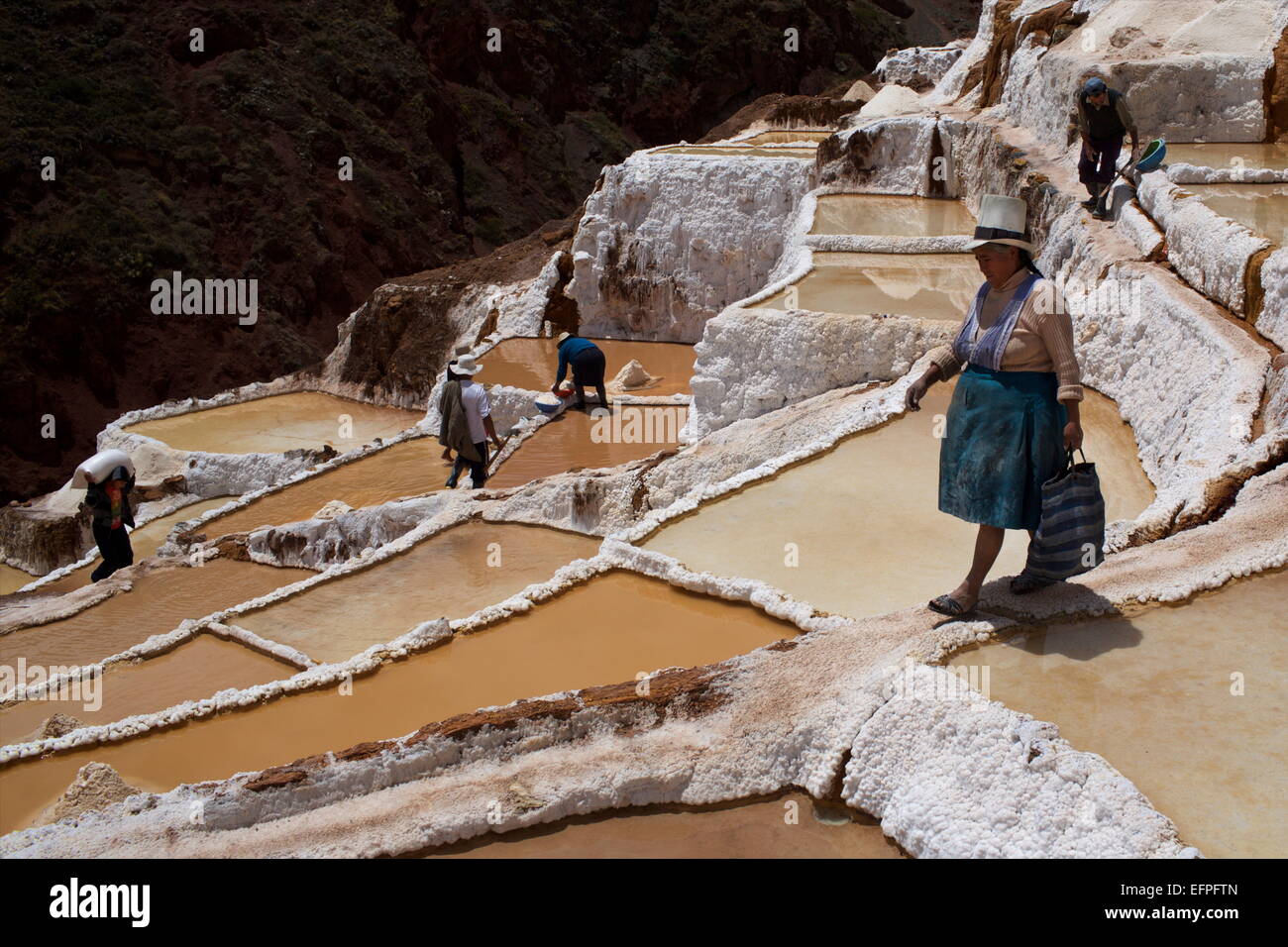 Les personnes travaillant dans les salines de Maras, la Vallée Sacrée, le Pérou, Amérique du Sud Banque D'Images