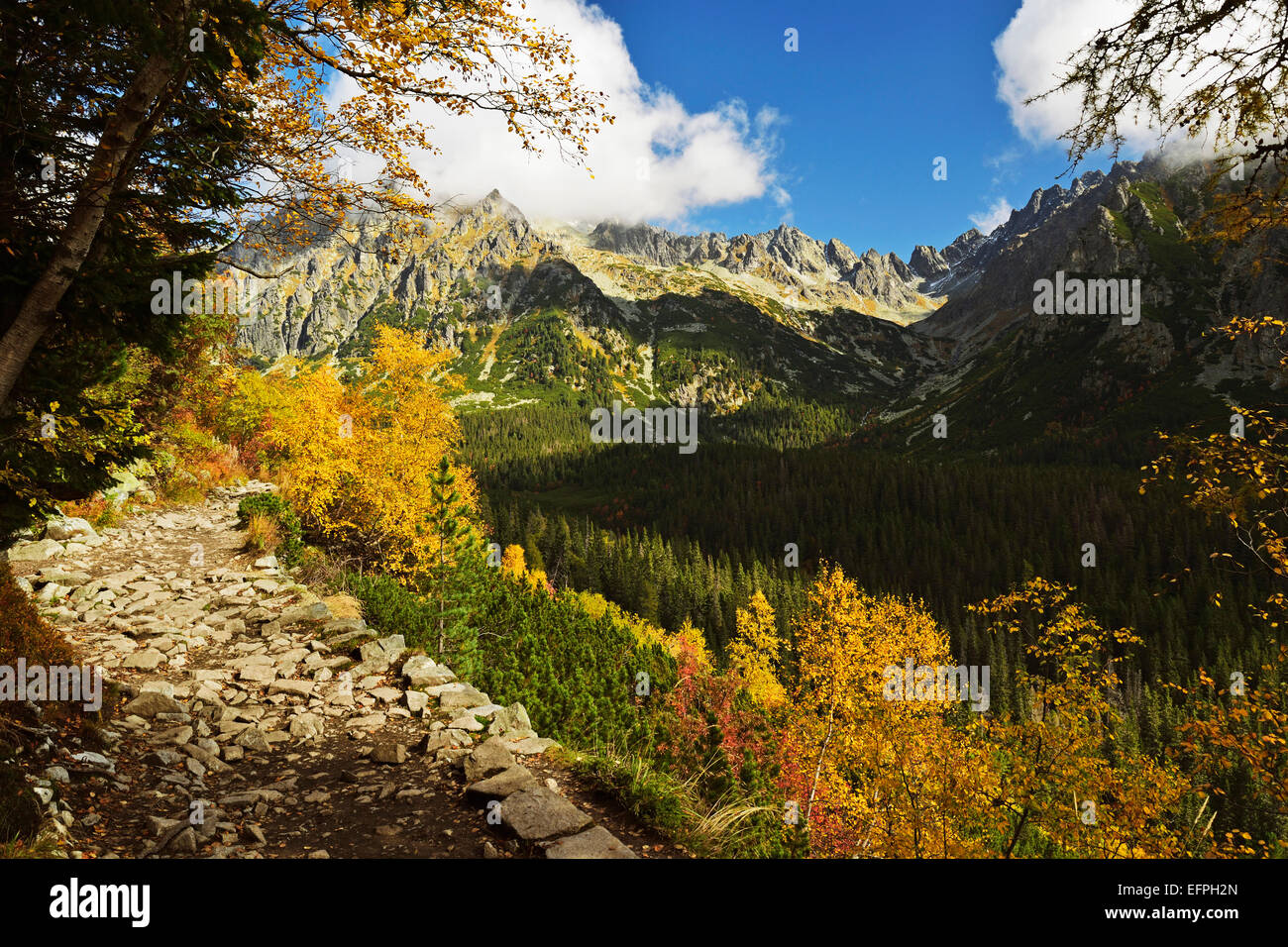 Sentier dans la région de Strbske Pleso, Hautes Tatras (Vysoke Tatry), Slovaquie, Europe Banque D'Images