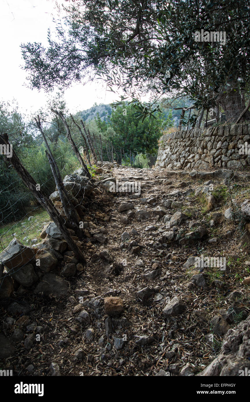 La randonnée dans les montagnes de Tramuntana à Majorque est très populaire et il y a un grand site web de cartographie et signé du chemin Banque D'Images