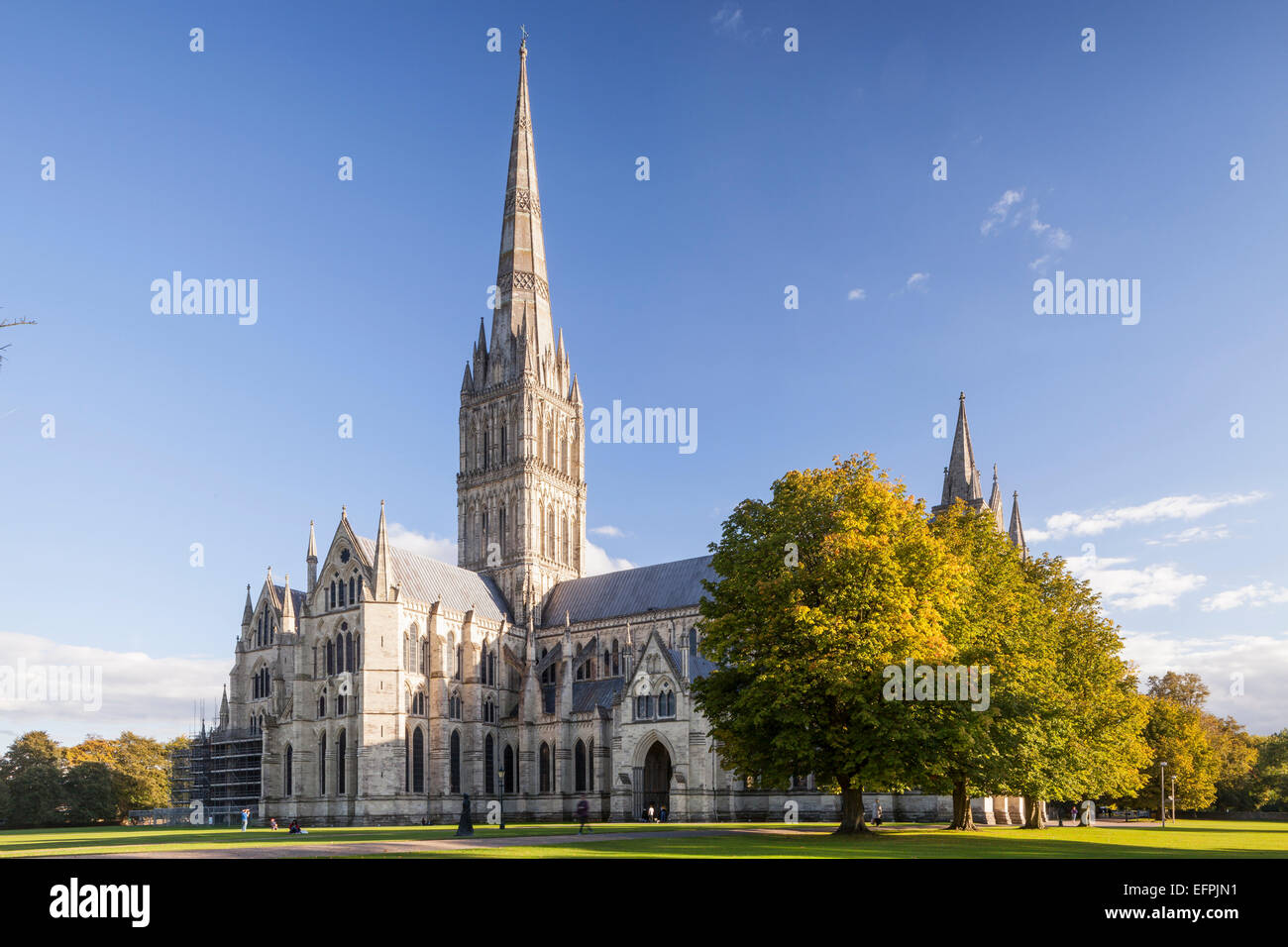 La cathédrale de Salisbury, Salisbury, Wiltshire, Angleterre, Royaume-Uni Banque D'Images