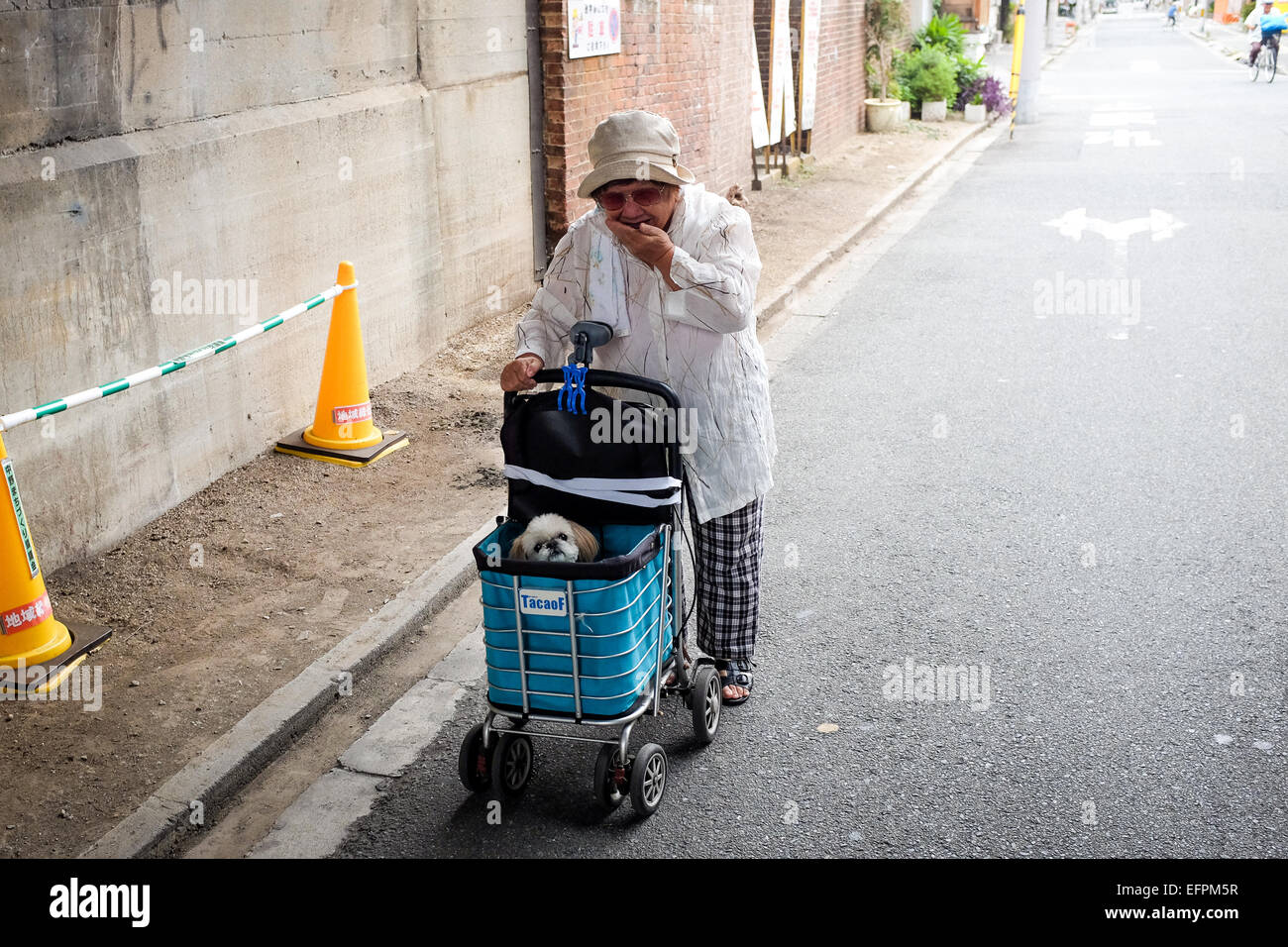 Une Japonaise prend son chien pour un 'à pied' dans un chariot. Banque D'Images